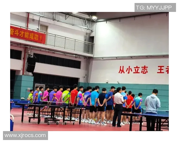 乒乓球的奋斗与荣耀:杭州乒乓球队成长历程的真实记录与反思