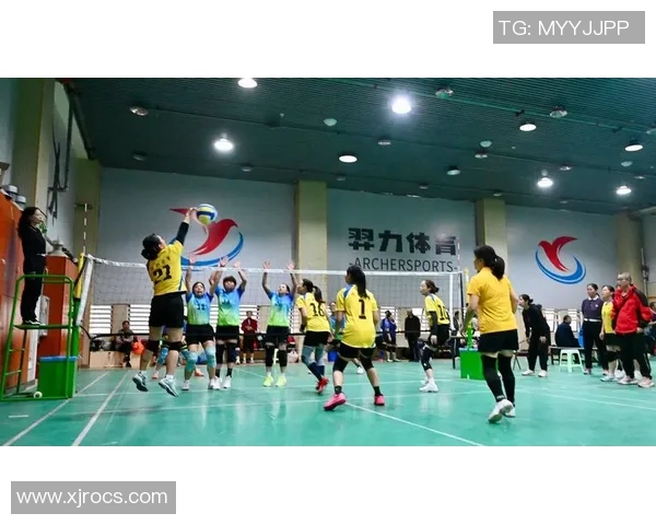 与杨丽畅谈排球生涯的辉煌与挑战以及未来的展望