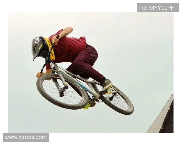 成都极限运动队实力分析与表现评估探讨