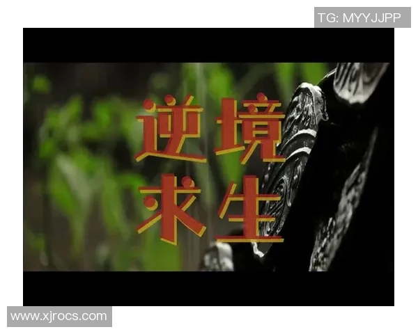 史鸿飞的传奇人生与奋斗历程揭秘，探索他如何在逆境中崛起成就辉煌