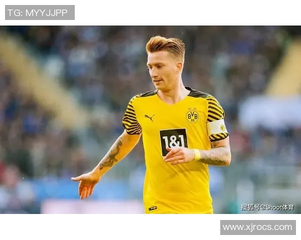 科隆与马德堡比赛前瞻及胜负预测分析详解