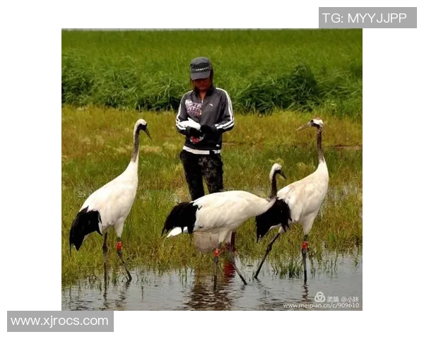 许钟豪的奋斗历程与成功秘诀探秘，激励年轻人追逐梦想的真实故事