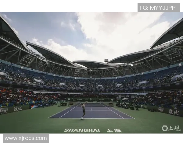 上海网球队逆袭之旅全景纪实：从低谷到巅峰的奋斗故事