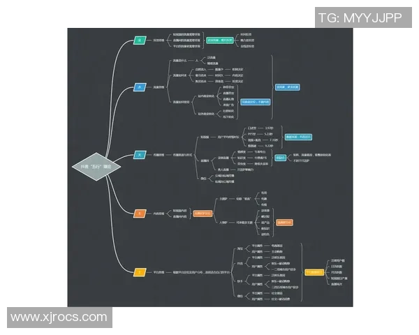 深度分析FPX的运营策略与战术布局探讨