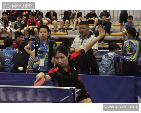 乒乓球传奇刘磊的生涯回顾与心路历程分享